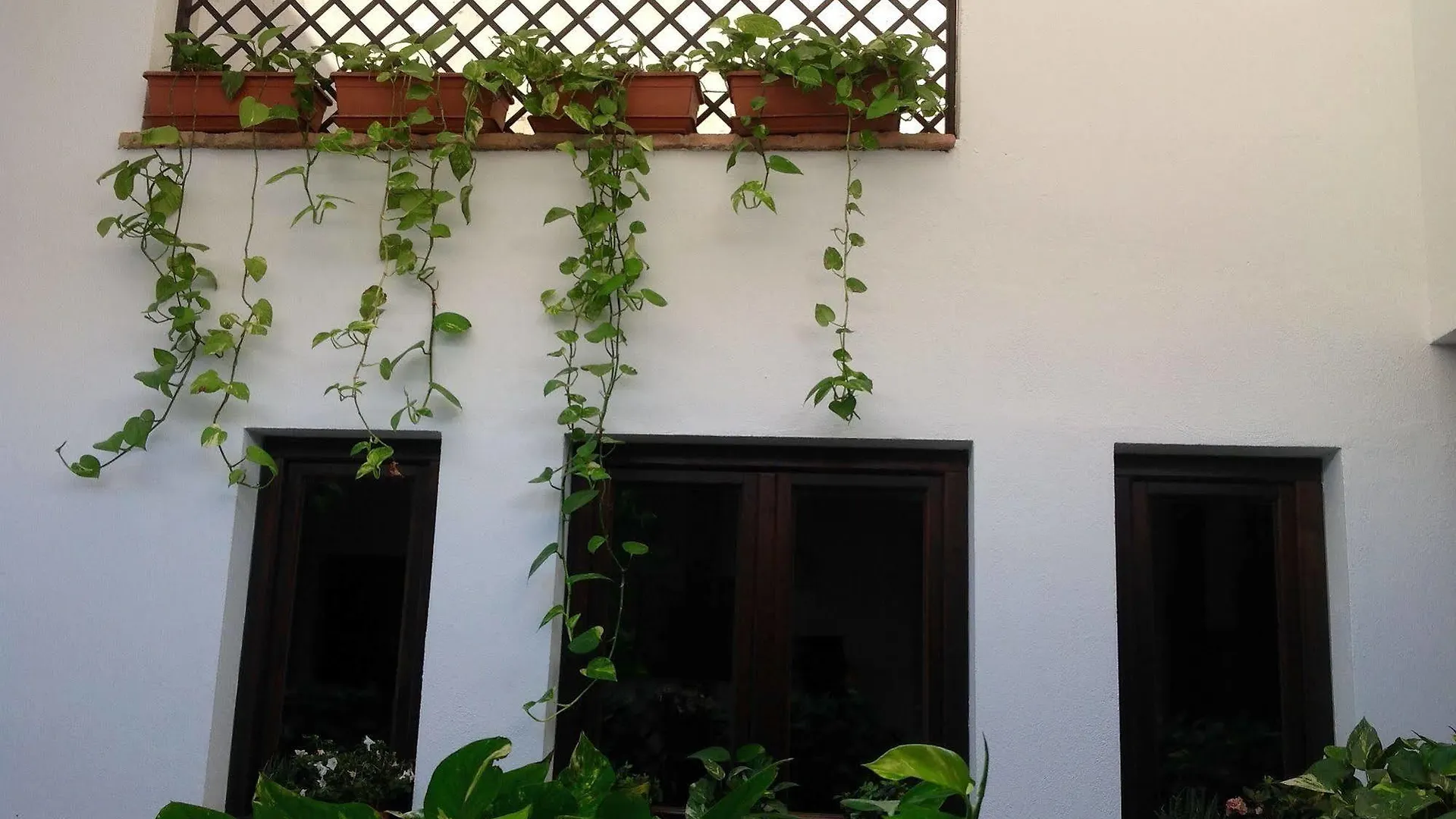 Hotel Boutique Alma Andalusi