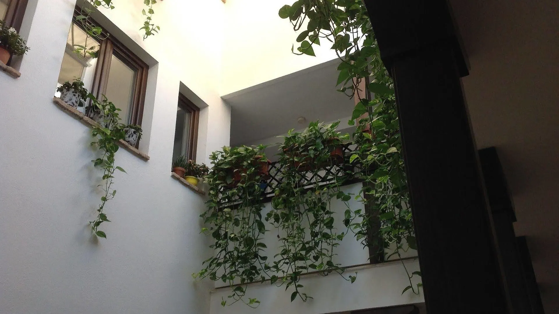 Guest house Hotel Boutique Alma Andalusi