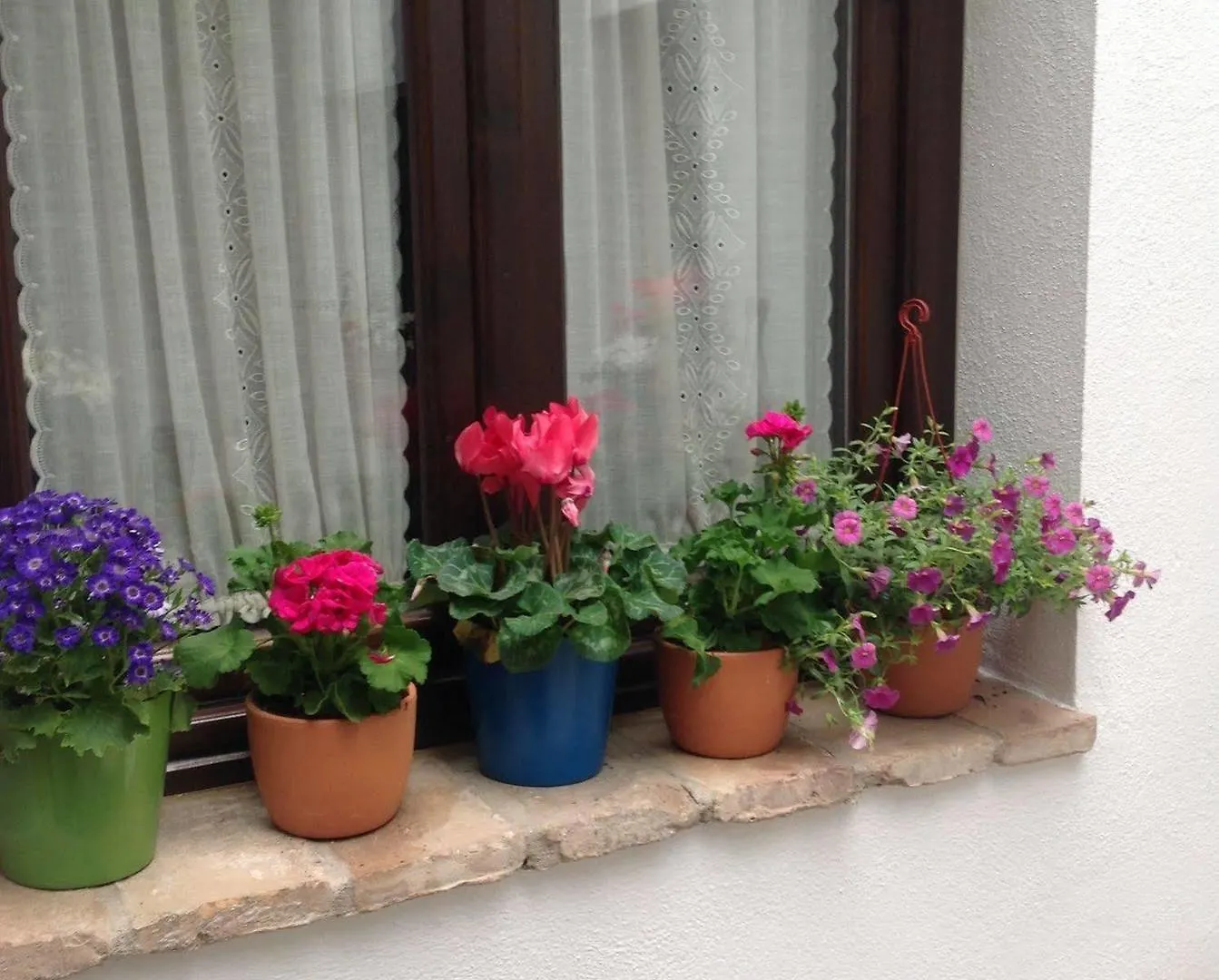 Hotel Boutique Alma Andalusi Cordoba